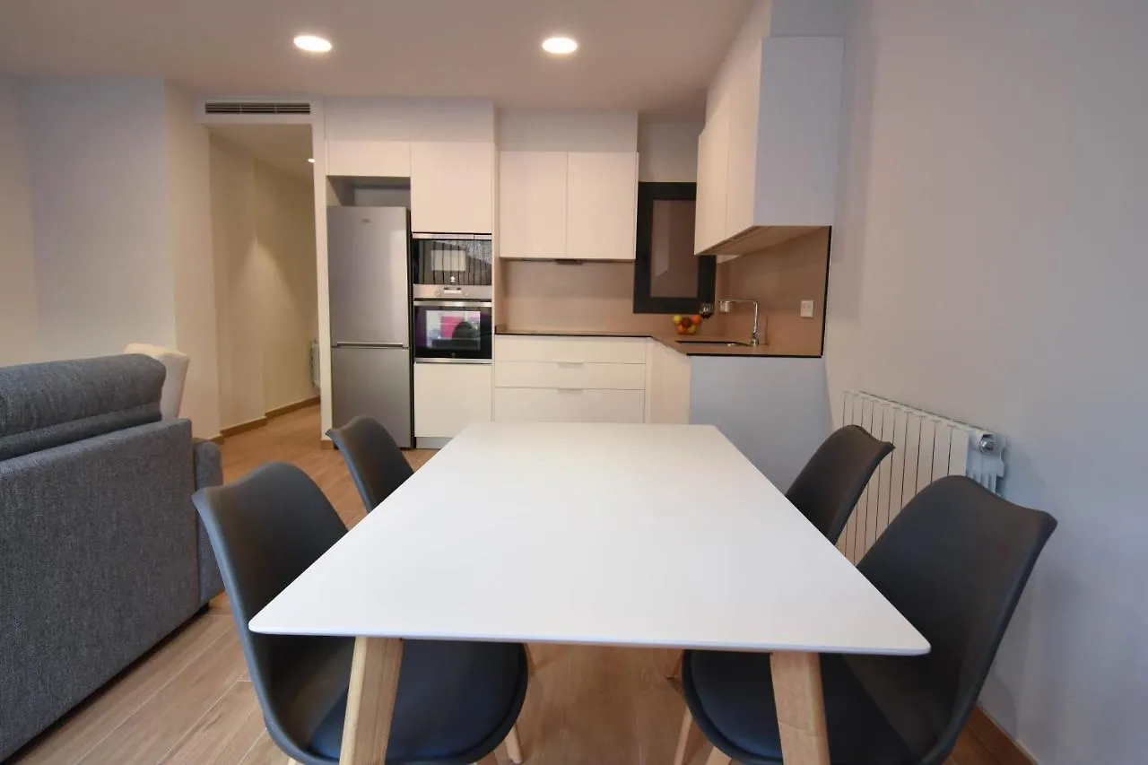 Apg Girona Carme 19 Appartement