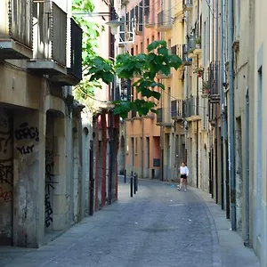 Apartment Housing Ginesta 9, Gerona